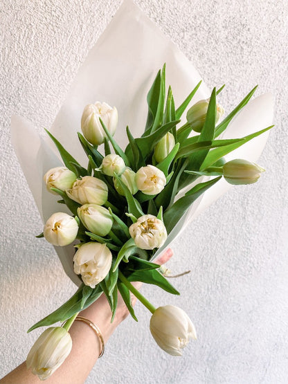 Tulip Bundles - Tulip Flower - Vancouver Flower Delivery